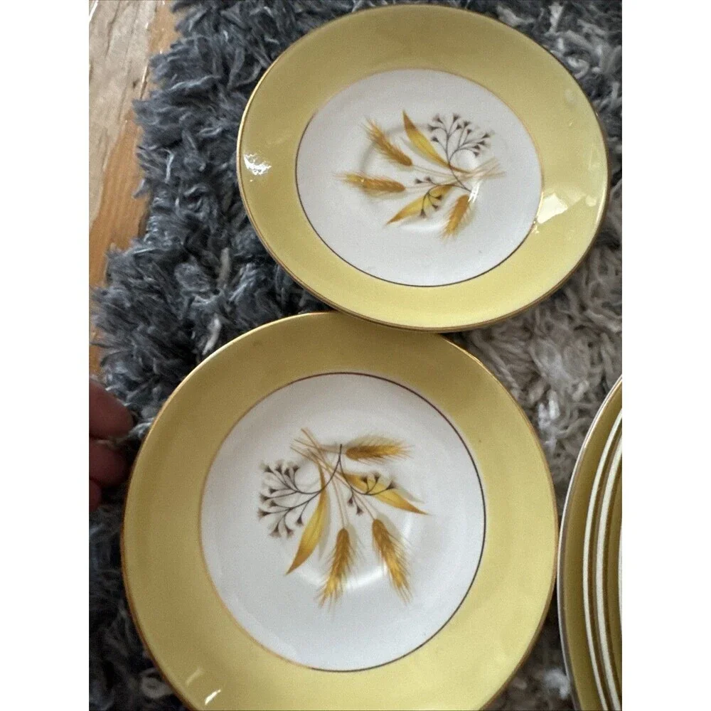 20 Piece Century Service Corp Autumn Gold Dinner Plate Plates and Bowls